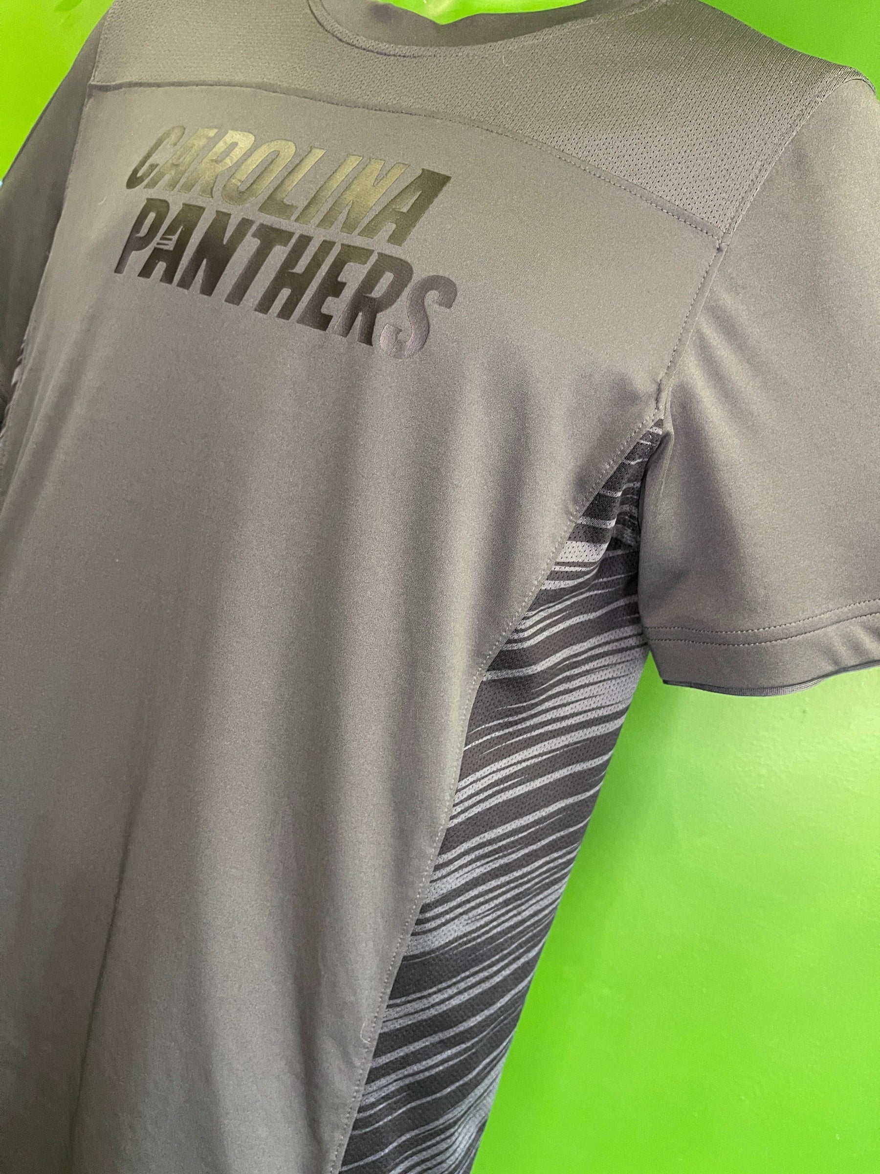 NFL Carolina Panthers Nike Dri-Fit Grey T-Shirt Men's Small