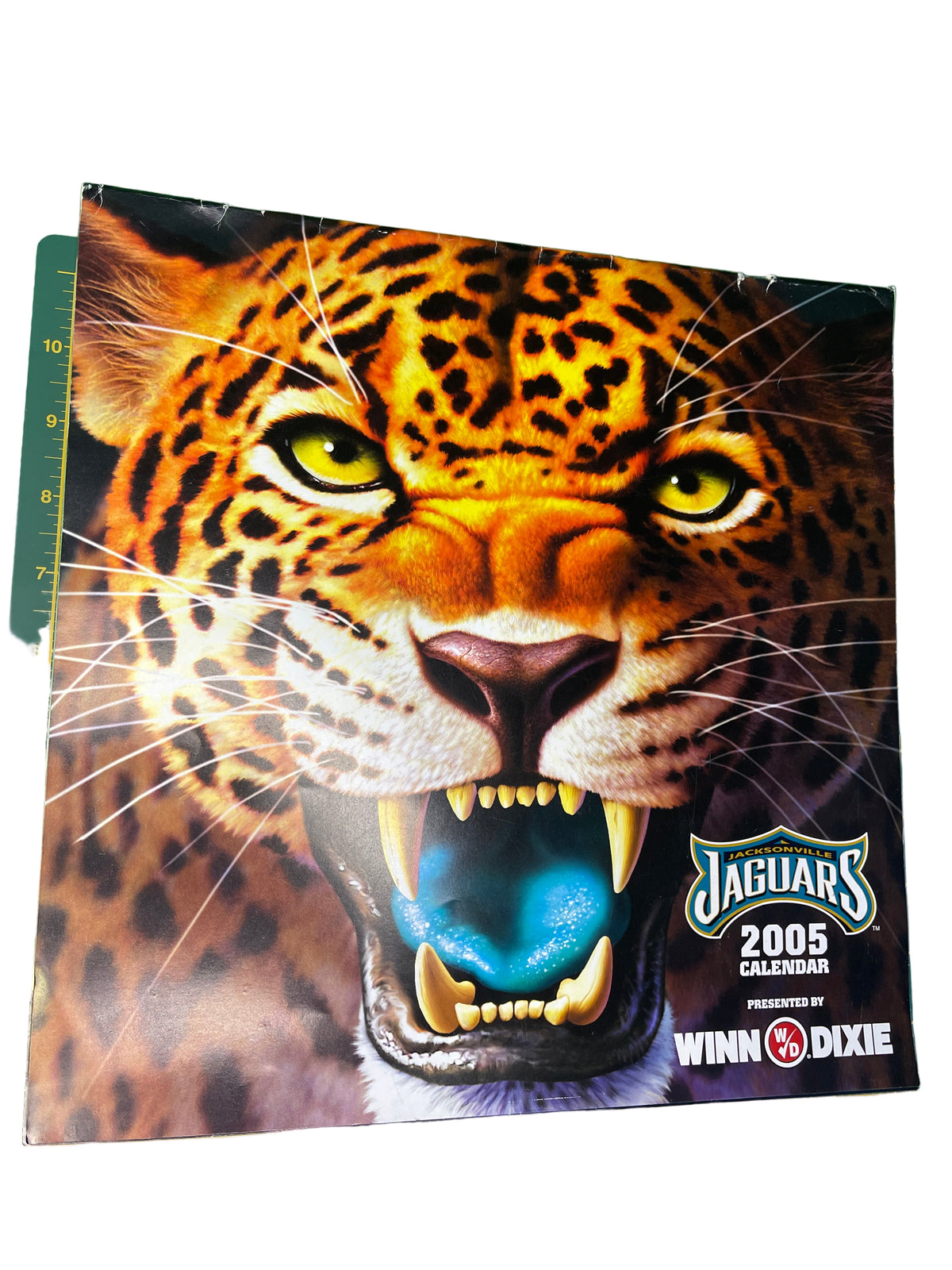 NFL Jacksonville Jaguars Vintage 2005 Wall Calendar 12" x 12"