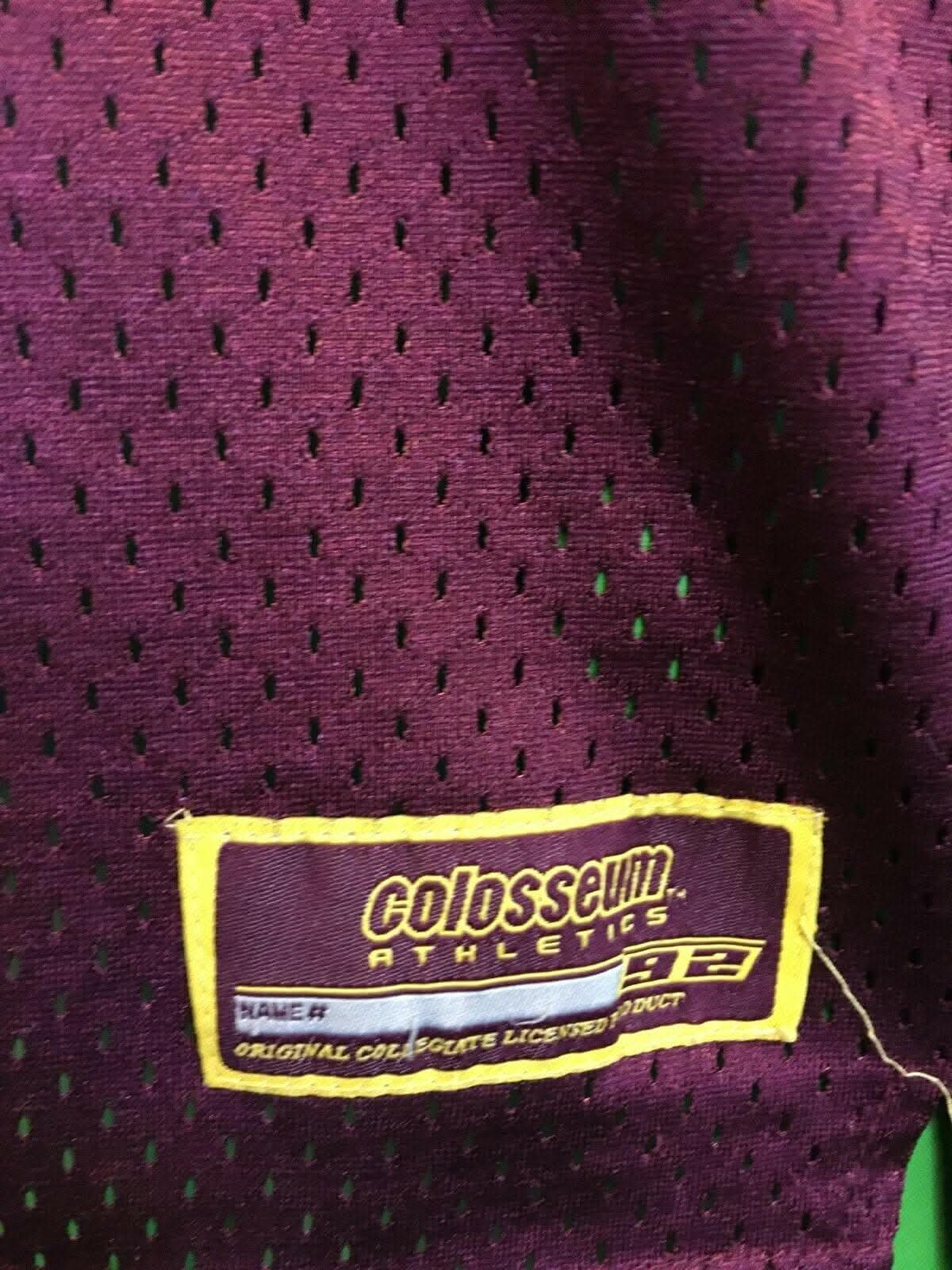 NCAA Minnesota Golden Gophers Colosseum Jersey Youth Small 7