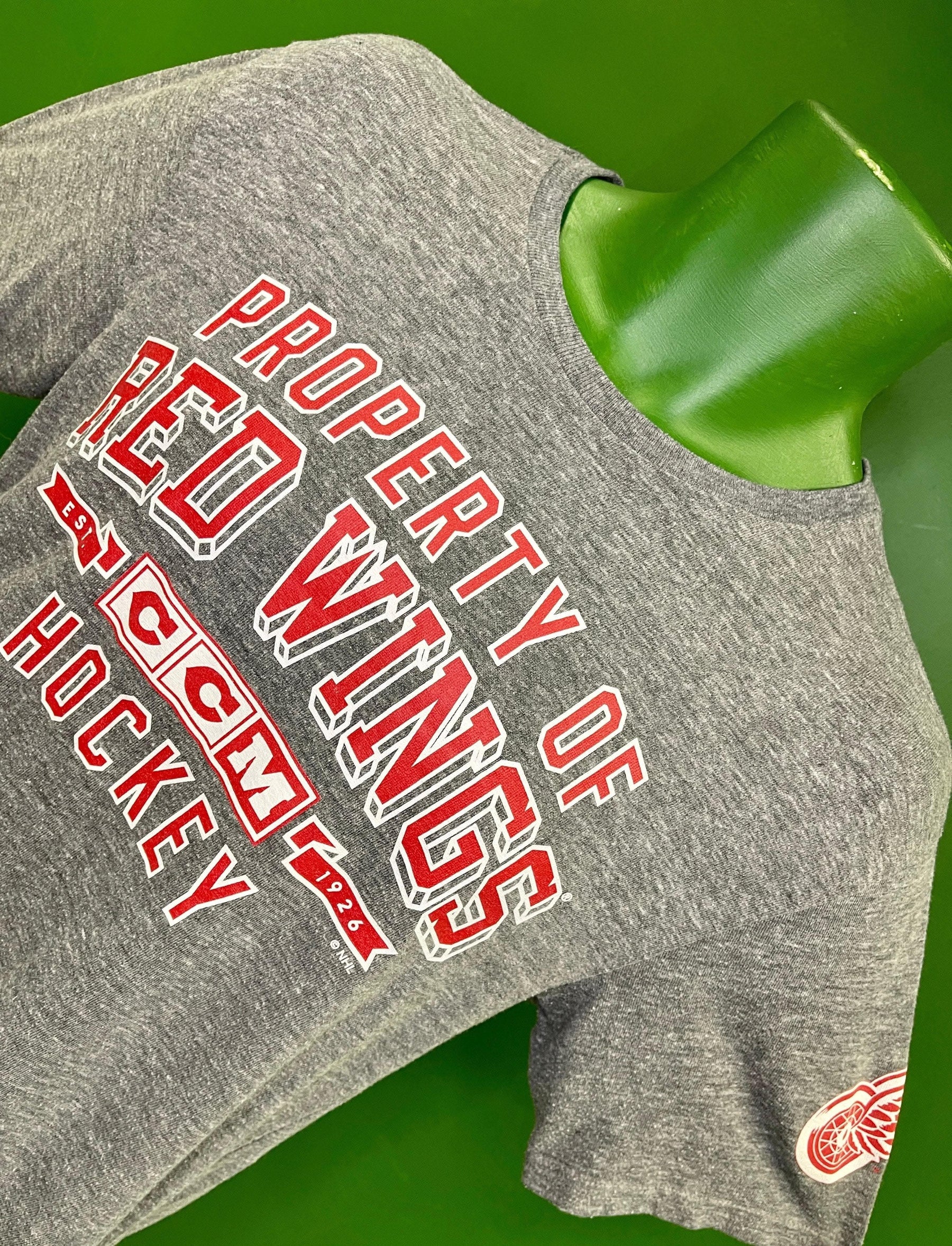 NHL Detroit Red Wings Grey T-Shirt Men's Small