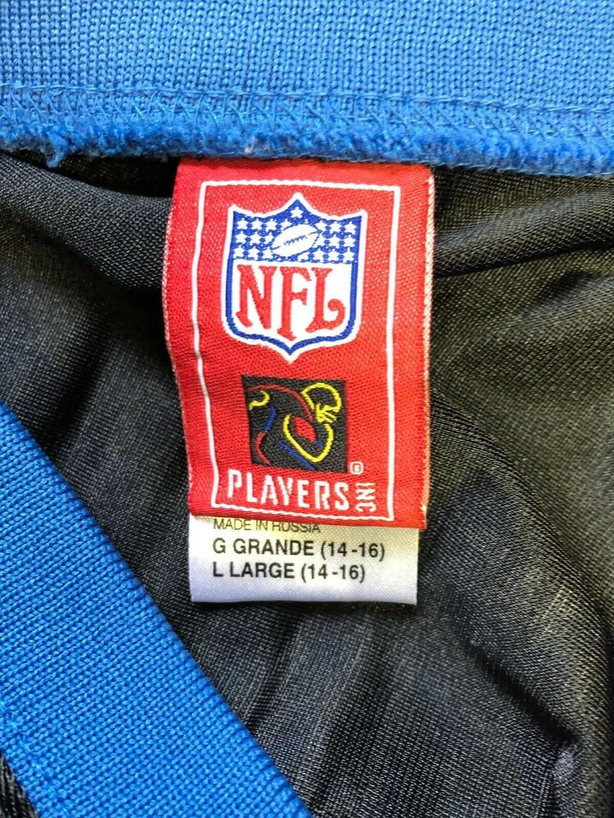 NFL Detroit Lions Roy Williams #11 Reebok Jersey Youth Large 14-16