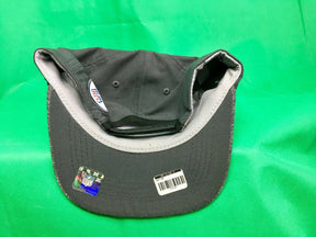 NFL Carolina Panthers New Era Adjustable Baseball Hat/Cap OSFM NWT