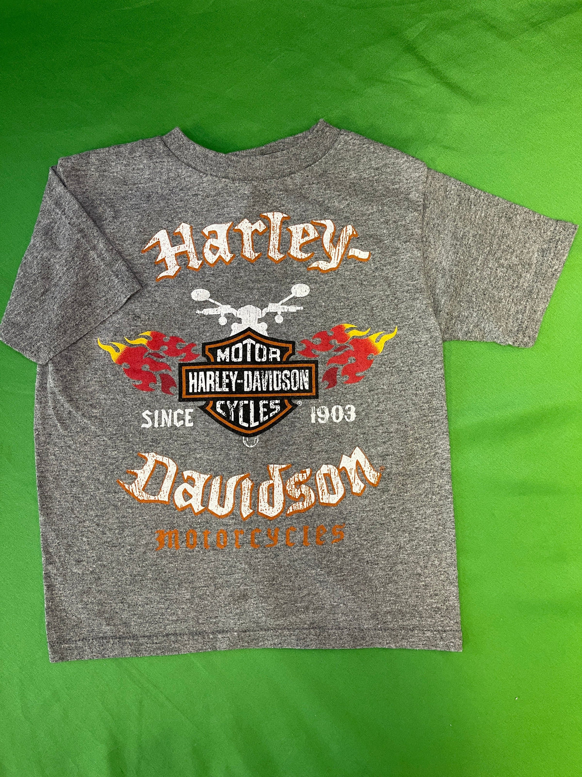 Harley-Davidson Motorcycles Heathered Grey T-Shirt Youth X-Small 4