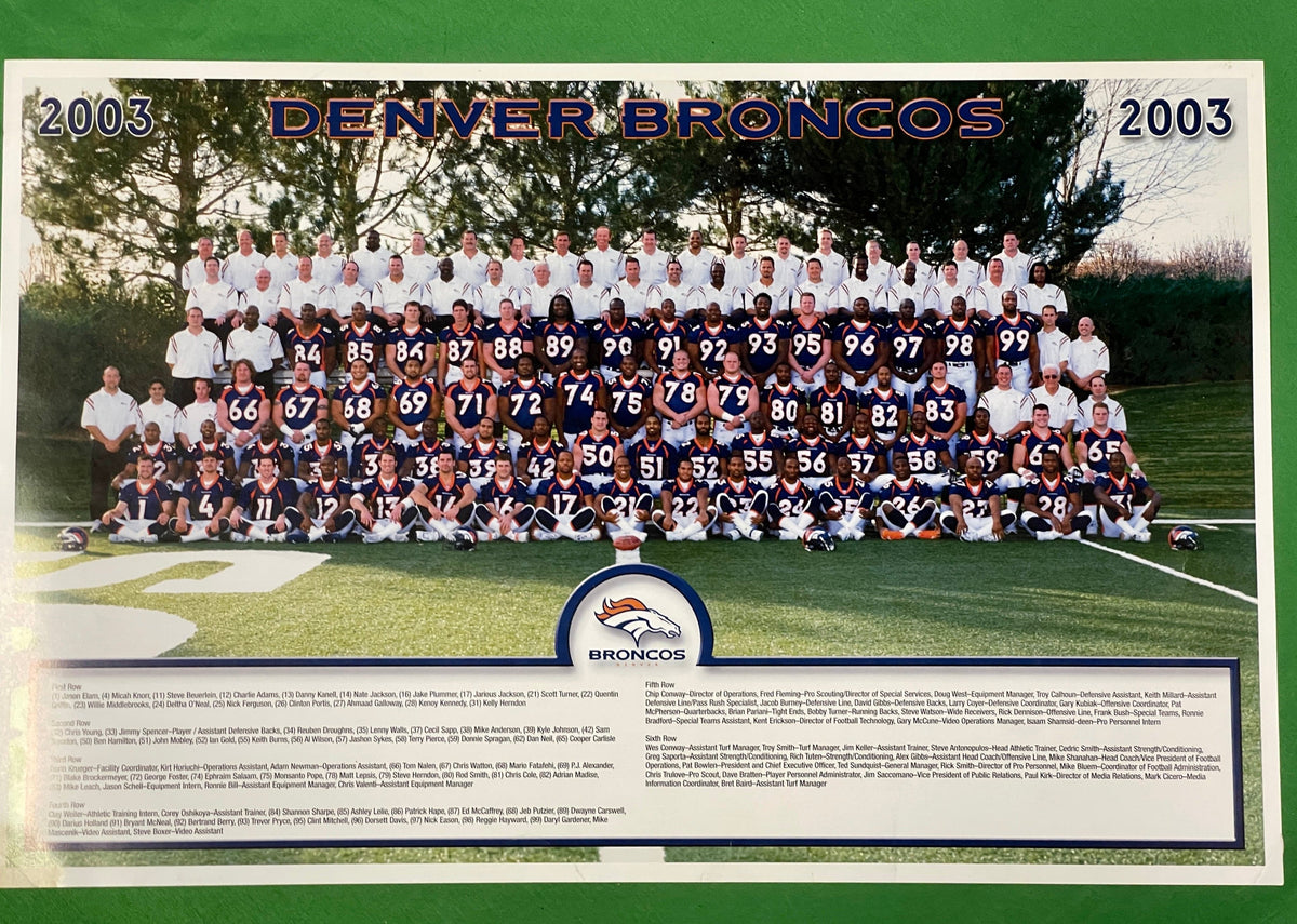 NFL Denver Broncos 12" x 18" 2003 Team Photo