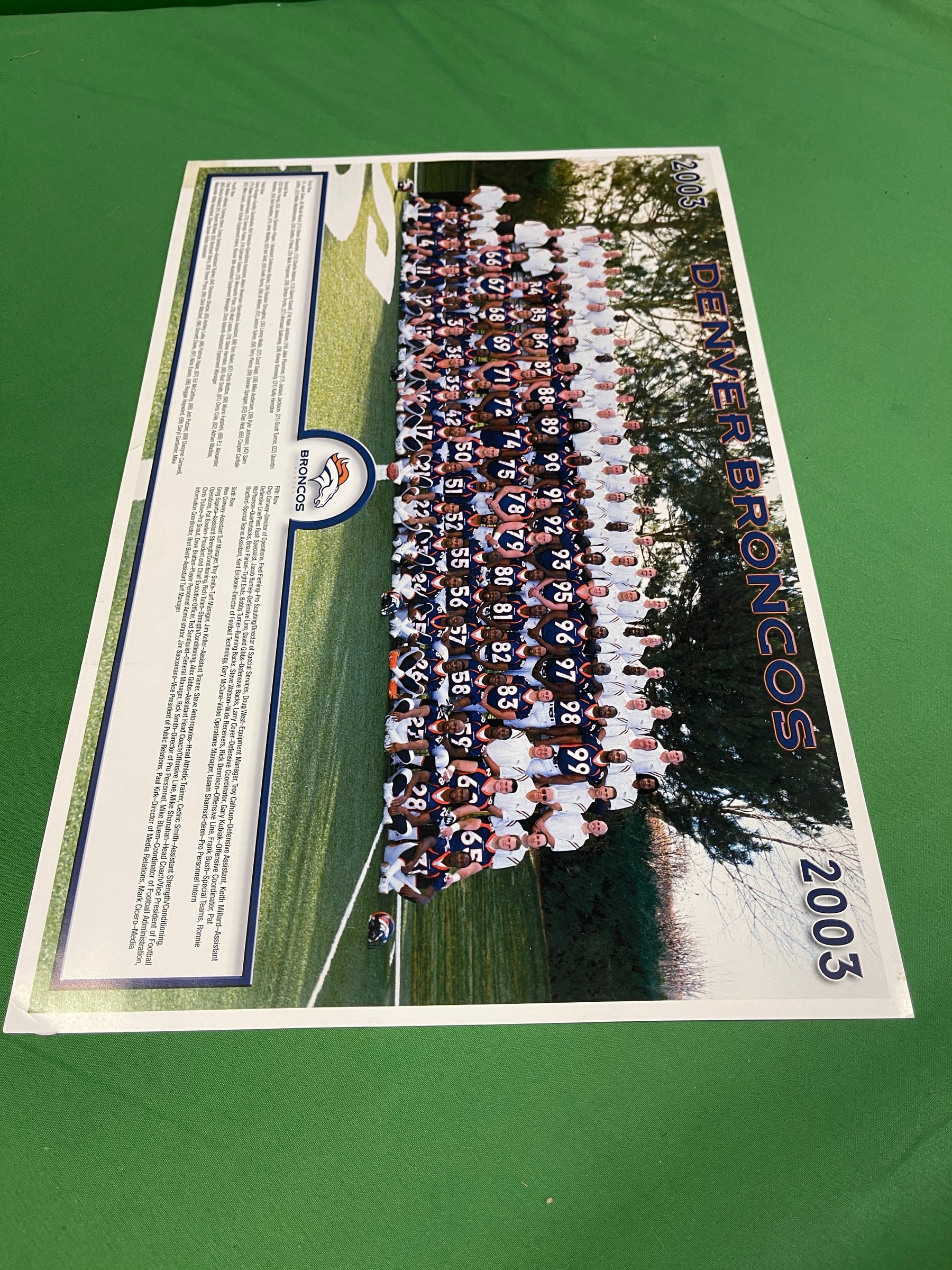 NFL Denver Broncos 12" x 18" 2003 Team Photo