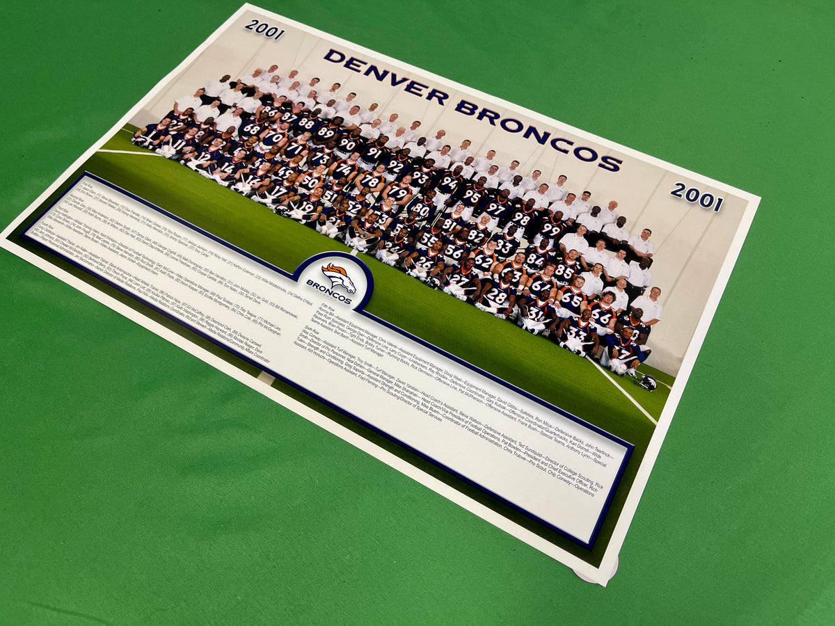 NFL Denver Broncos 12" x 18" 2001 Team Photo
