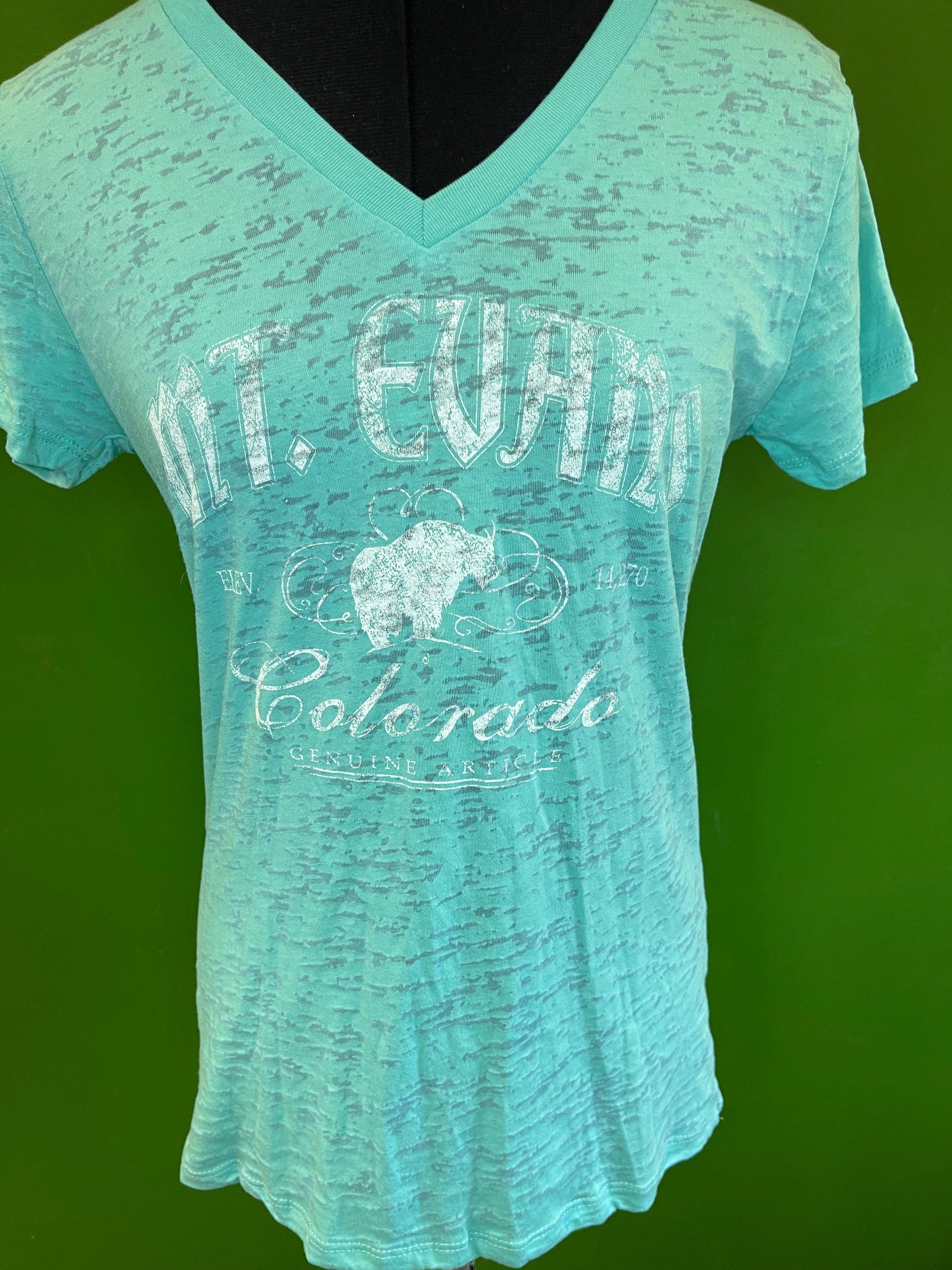 Mt. Evans Colorado Light Green Tissue T-Shirt Women's Medium