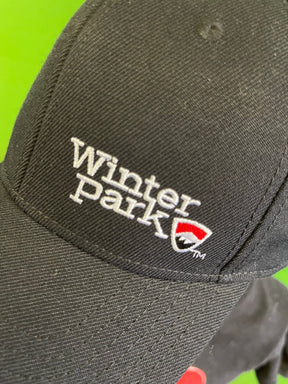 Winter Park Ski Area Acrylic/Wool Snapback Baseball Hat/Cap Men's OSFM