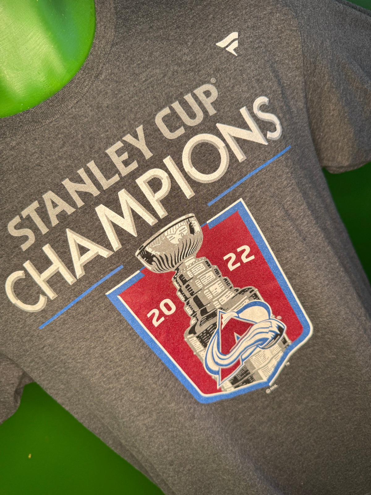 NHL Colorado Avalanche Grey 2022 Stanley Cup Champions T-Shirt Men's Medium