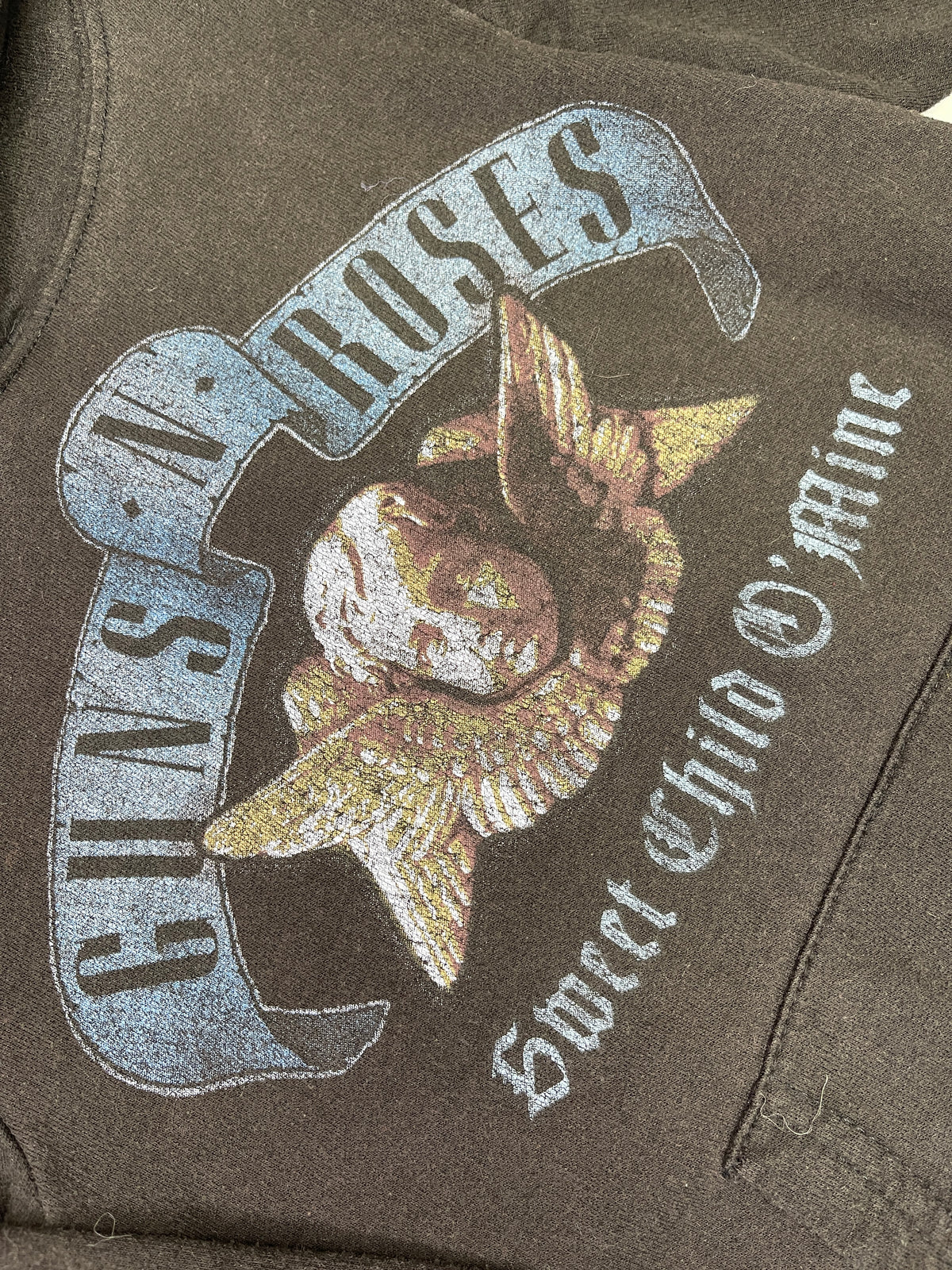 Guns N' Roses Dark Grey Pullover Hoodie Youth X-Small 4T