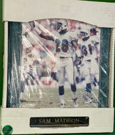 NFL Miami Dolphins Sam Madison #29 Green Marble Plaque in Box NWT