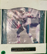 NFL Miami Dolphins Junior Seau #55 Green Marble Plaque in Box NWT