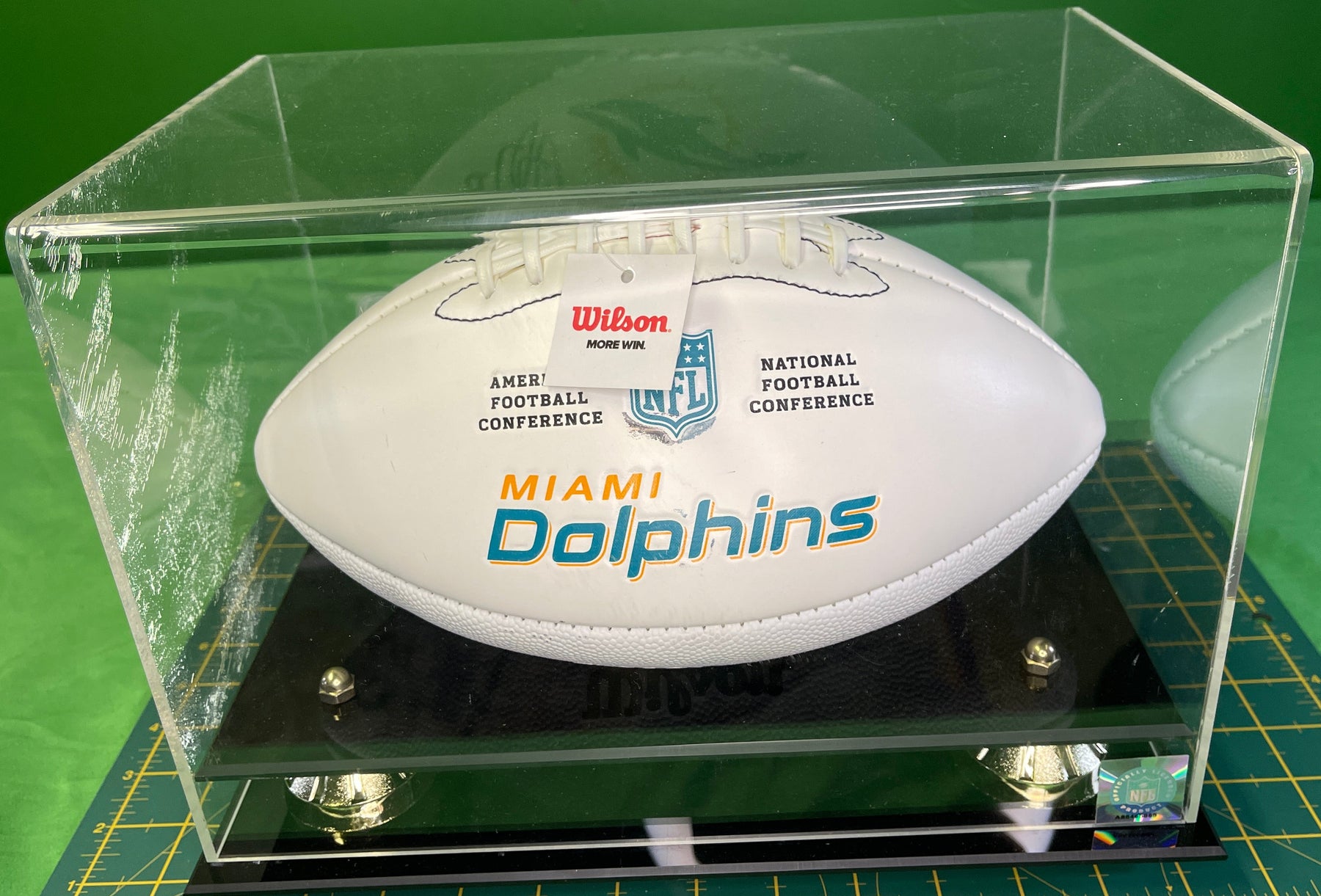 NFL Miami Dolphins Jay Ajayi Damien Williams SIGNED Autographed Ball w/Acrylic Case
