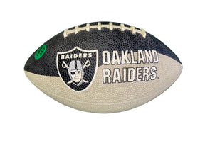 NFL Las Vegas (Oakland) Raiders Hutch Colour Blocked Football Fan Cave!