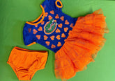 NCAA Florida Gators Tulle Dress Outfit 2-piece Set Toddler 24 months