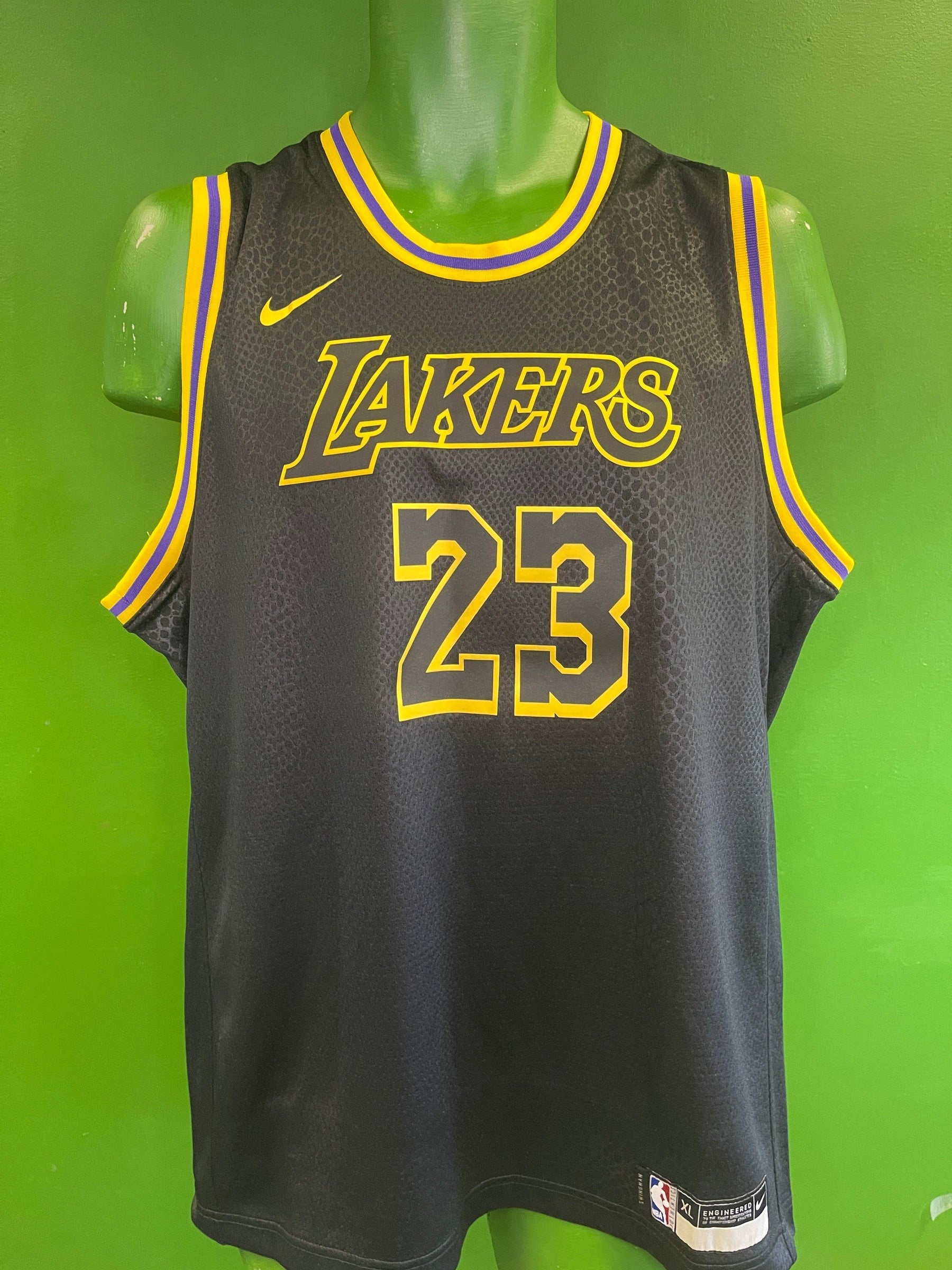 Nike Los Angeles Lakers NBA #6 Lebron James swingman youth jersey size  X-Large