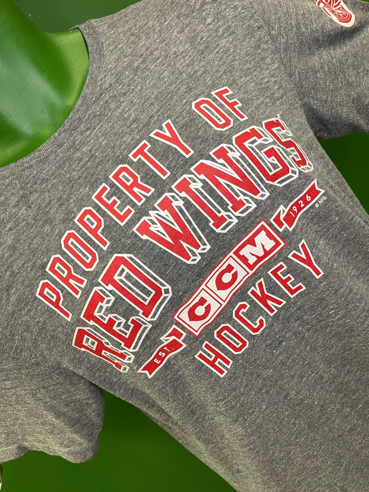NHL Detroit Red Wings Grey T-Shirt Men's Small